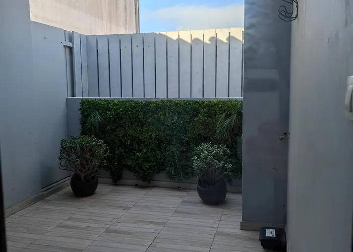 Casa Do Vereador 蓬塔德尔加达